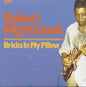 Nighthawk, Robert/Bricks In My Pillow [LP]