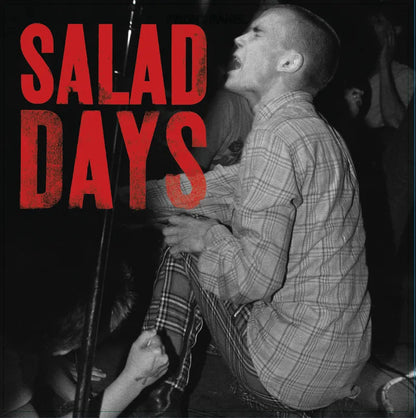 V/A "Salad Days: Music From The Documentary Film" LP (RSD 2026)