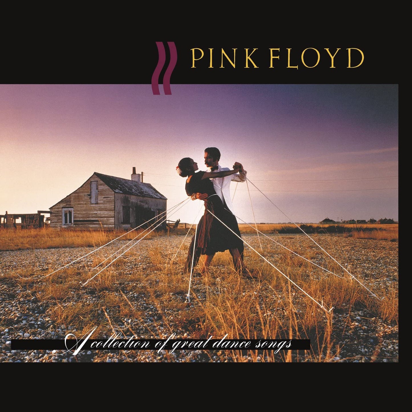 Pink Floyd/A Collection Of Great Dance Songs [LP]