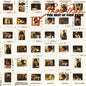 Prine, John/Prime Prine (The Best of) [LP]