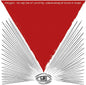 Foxygen/We Are the 21st Century Ambassadors of Peace & Magic [LP]