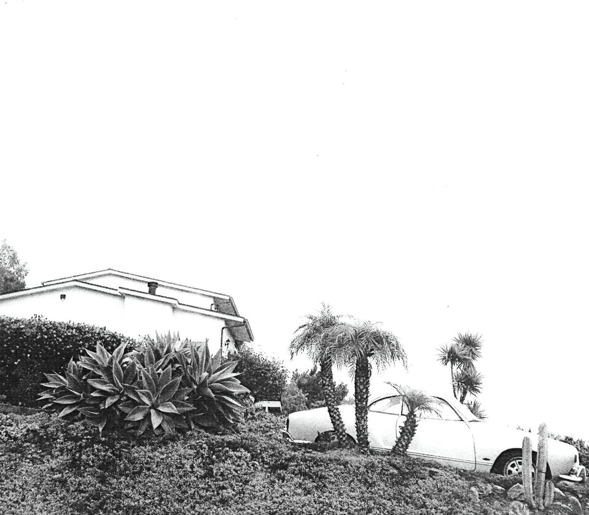 Timber Timbre/Hot Dreams [LP]
