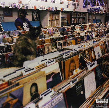 DJ Shadow/Endtroducing [LP]