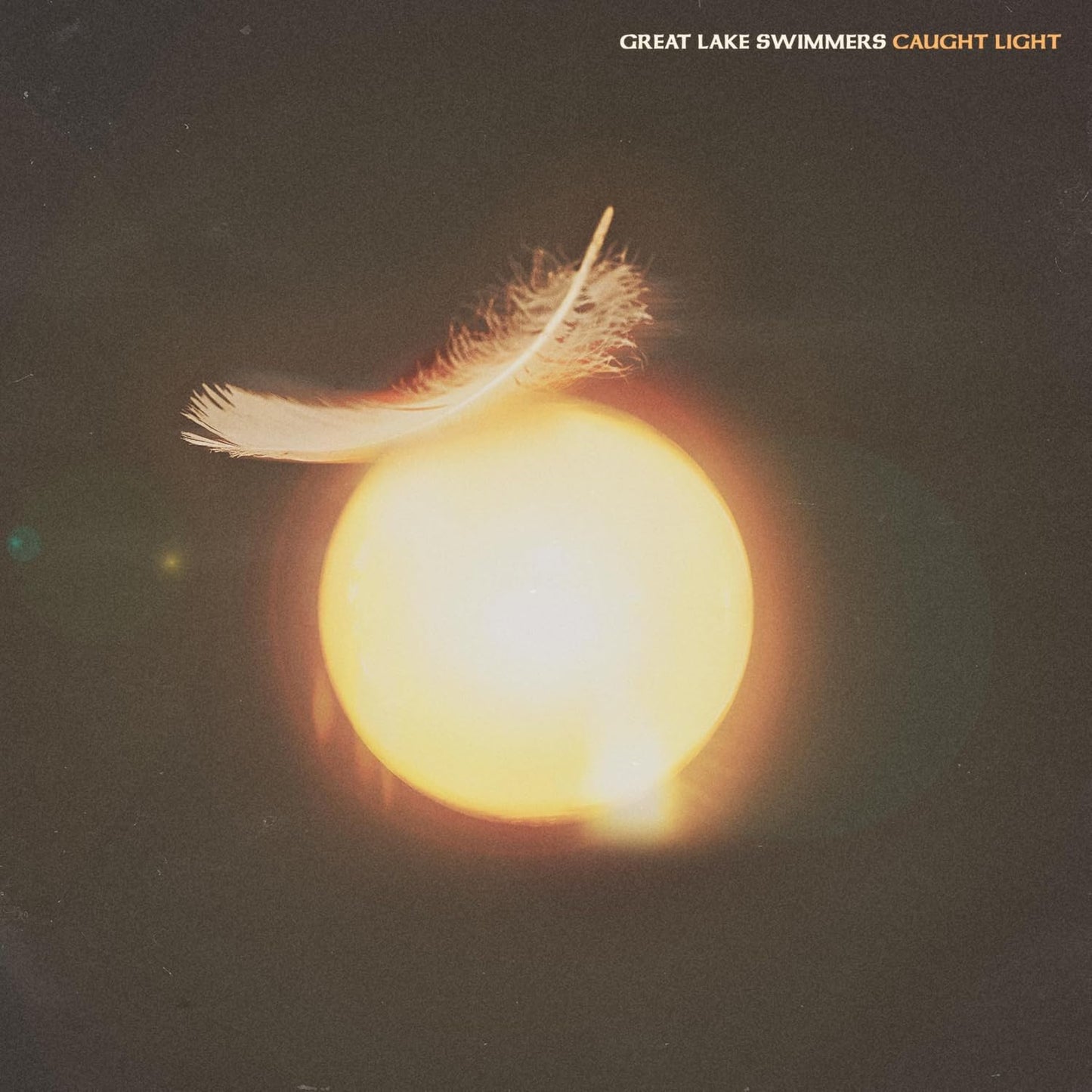 Great Lake Swimmers/Caught Light [LP]