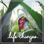 Casey Veggies/Life Changes [LP]