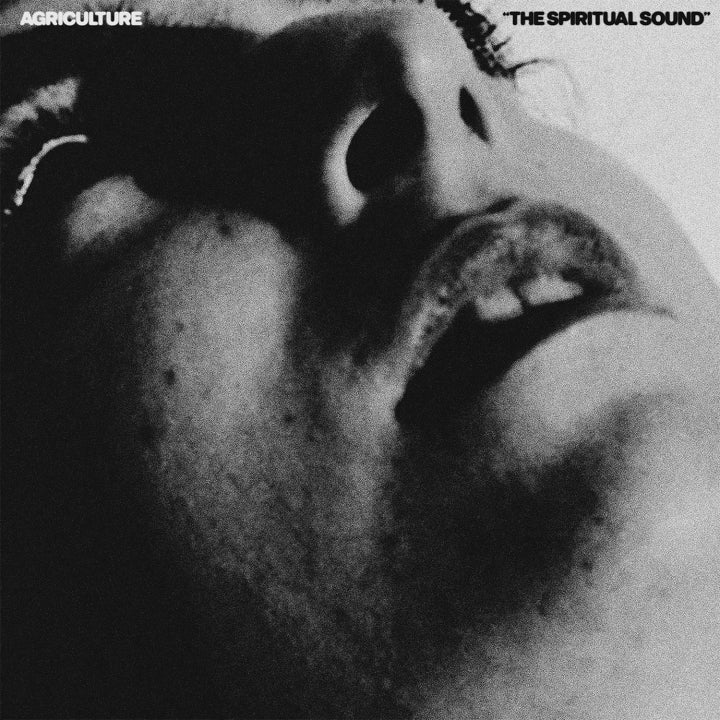 Agriculture "The Spiritual Sound" LP (Color Vinyl)
