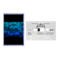 PRE-ORDER: Nipsey Hussle & Bino Rideaux "PROLIFIC" Cassette (White Body)