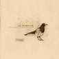 La Dispute "Somewhere at the Bottom of the River Between Vega and Altair" 2xLP (Brown Vinyl)
