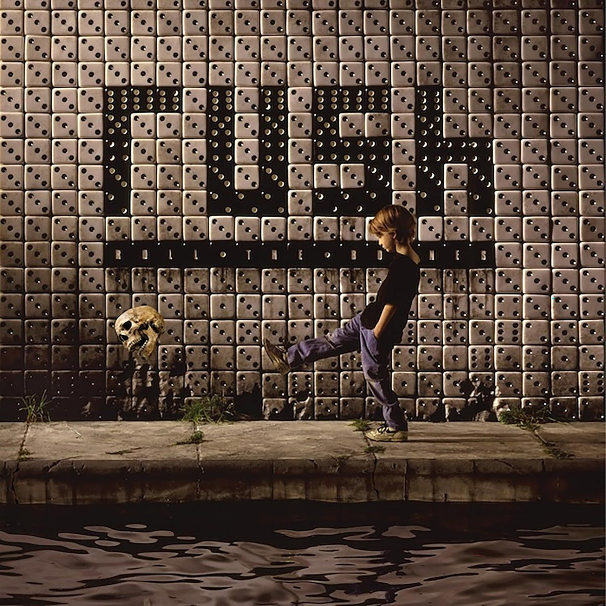 Rush/Roll The Bones (Black Vinyl) [LP]