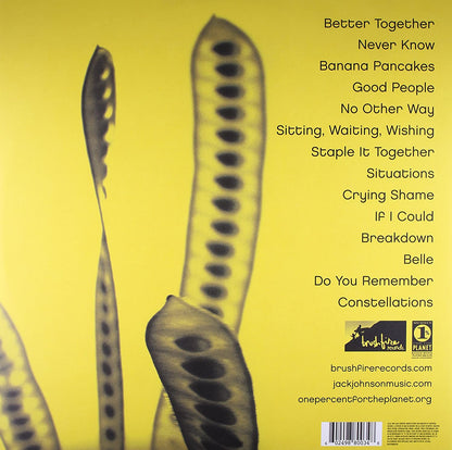 Johnson, Jack/In Between Dreams [LP]