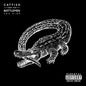 Catfish And The Bottlemen/The Ride [LP]