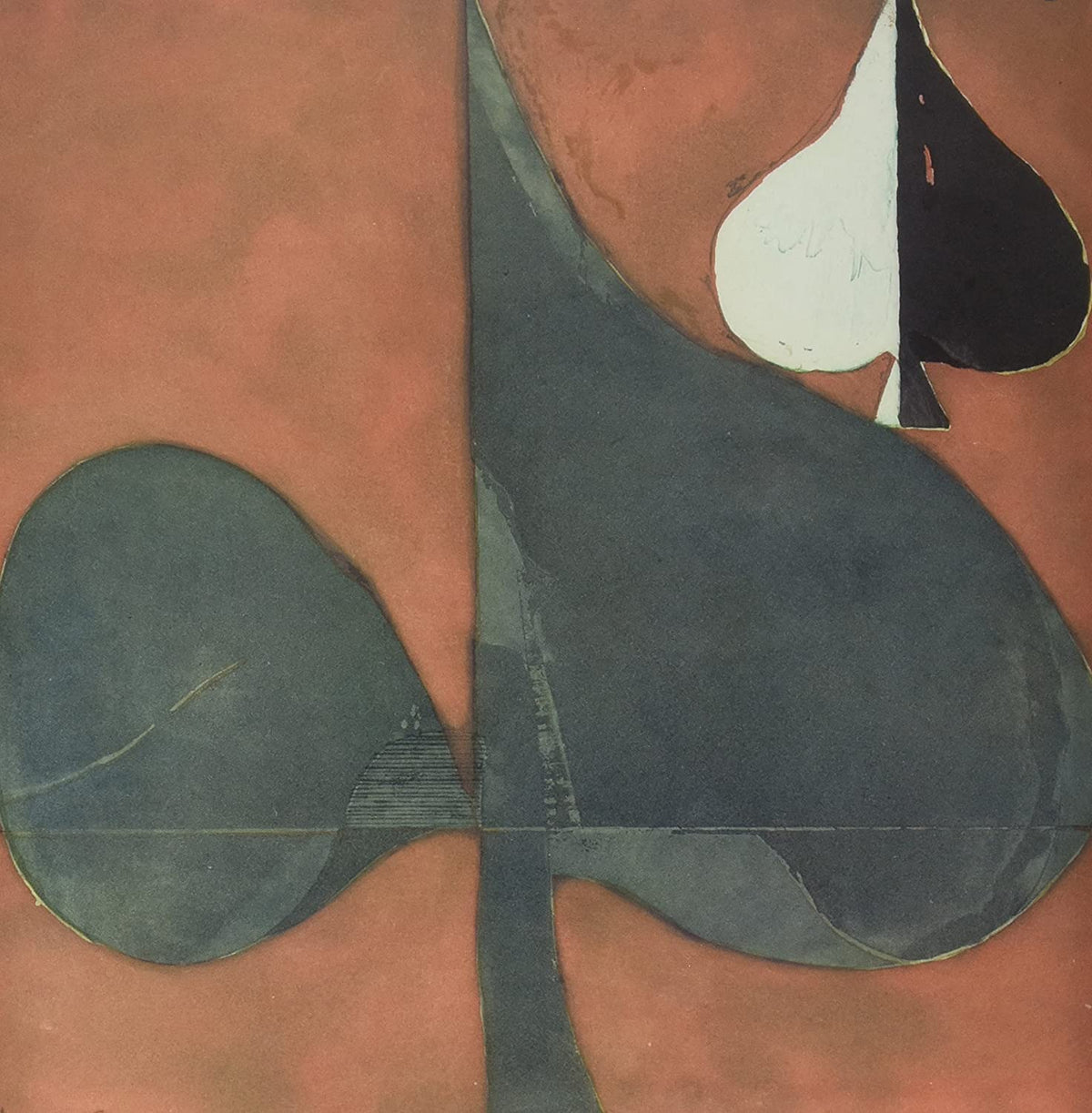 Grizzly Bear/Shields [LP]