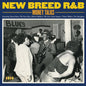Various Artists/New Breed R&B: Money Talks [LP]