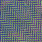 Animal Collective/Merriweather Post Pavilion [LP]
