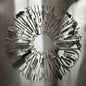 Carcass/Surgical Steel [LP]