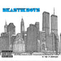 Beastie Boys/To The 5 Boroughs [LP]