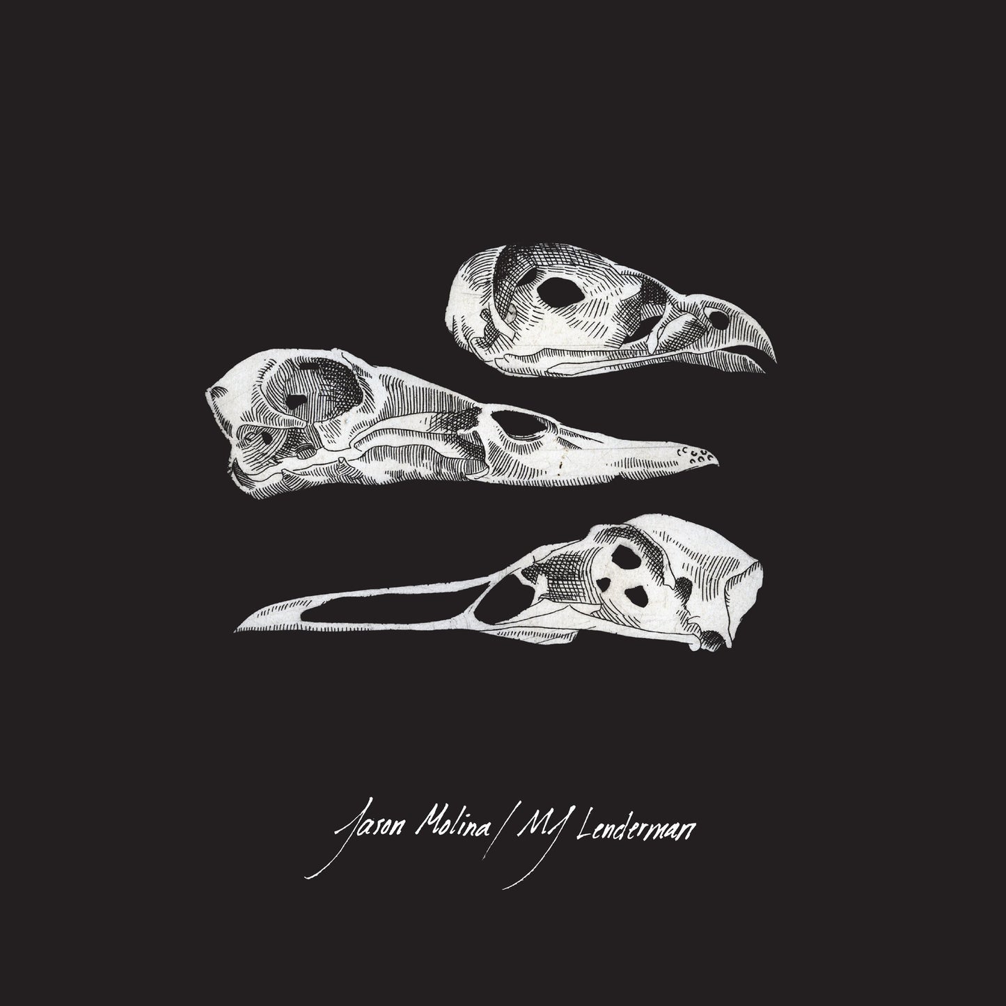 Jason Molina & MJ Lenderman "The Last Three Human Words (Demo) / Just Be Simple" 7"