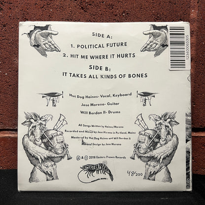 Used Vinyl: Celebrity Handshake "Political Future" 7"