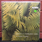 Used Vinyl: Edgar Froese "Epsilon in Malaysian Pale" LP (70's or 80's UK pressing)