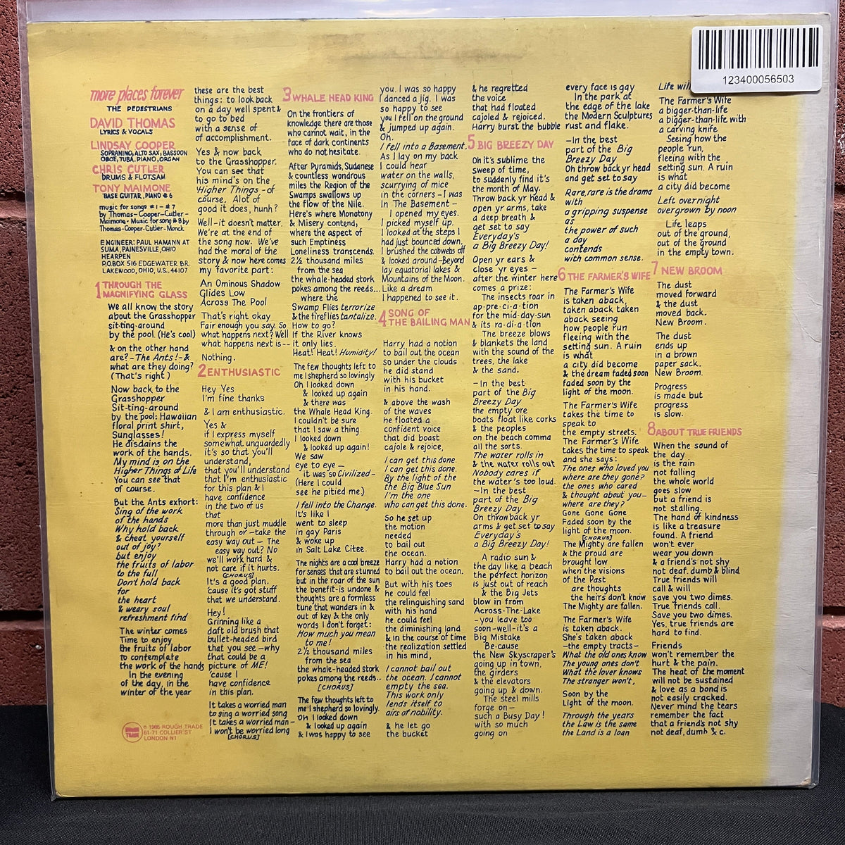 Used Vinyl: David Thomas "More Places Forever" LP