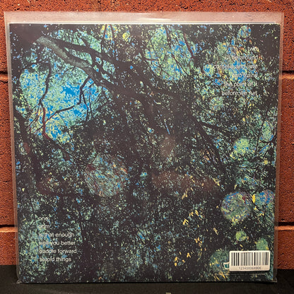 Used Vinyl: Yo La Tengo "Fade" LP (2013 Press)
