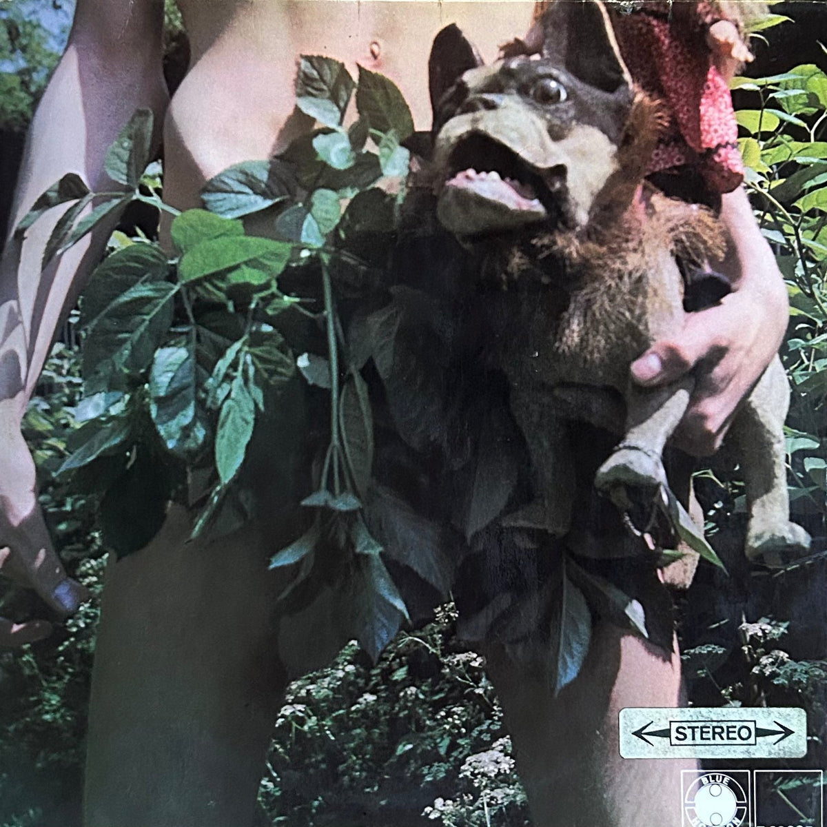 [Used LP] Fleetwood Mac  / Mr. Wonderful