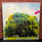 Used Vinyl: Yo La Tengo "Fade" LP (2013 Press)