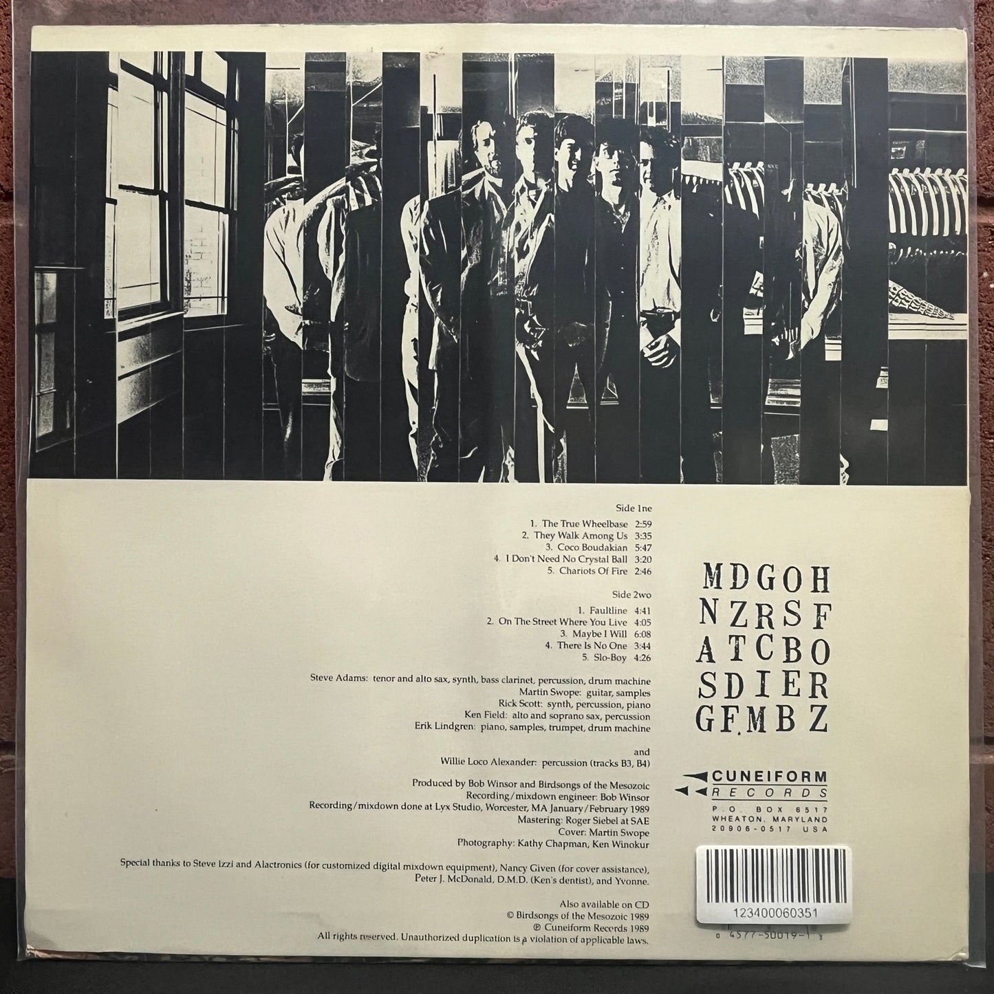 Used Vinyl: Birdsongs of the Mesozoic ‎"Faultline" LP