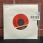 Used Vinyl: The Rhythm Rebellion "Racoon / Spellbinder" 7"