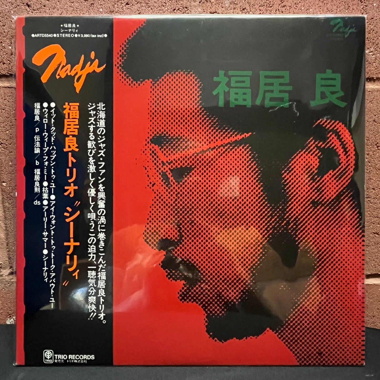 Used Vinyl: Ryo Fukui "Scenery" (2009 Japanese Issue)