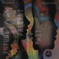 Irreversible Entanglements - Future Present Past - LP