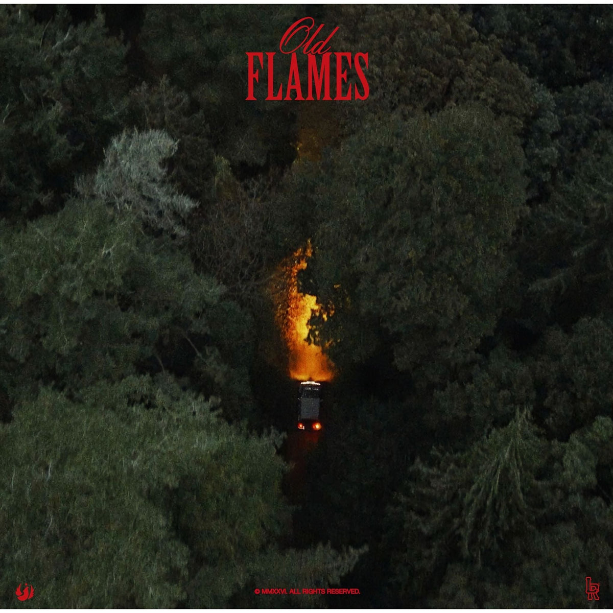 [Pre Order] La Roux - Old Flames - LP *