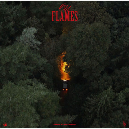 [Pre Order] La Roux - Old Flames - LP *