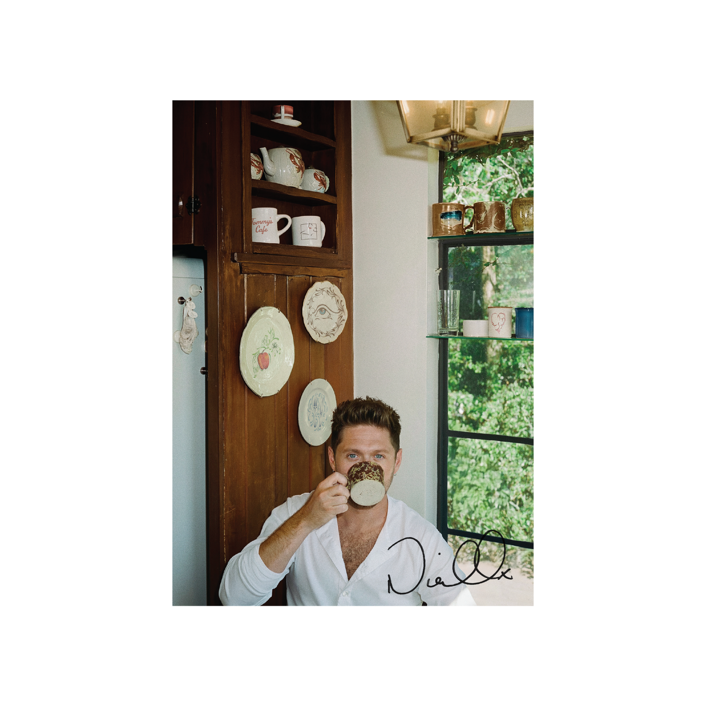 Niall Horan "Dinner Party" LP (Indie Exclusive Porcelain Color Vinyl w/ Signed Insert)