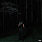 Destroy Lonely/If Looks Could Kill [LP]