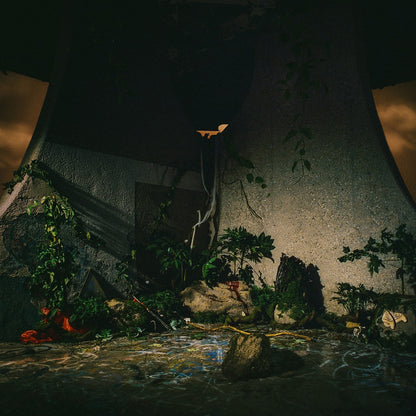 [Pre Order] The Plot In You - The Plot In You - Indie LP  *