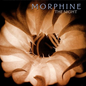 Morphine/The Night (Purple Vinyl) [LP]