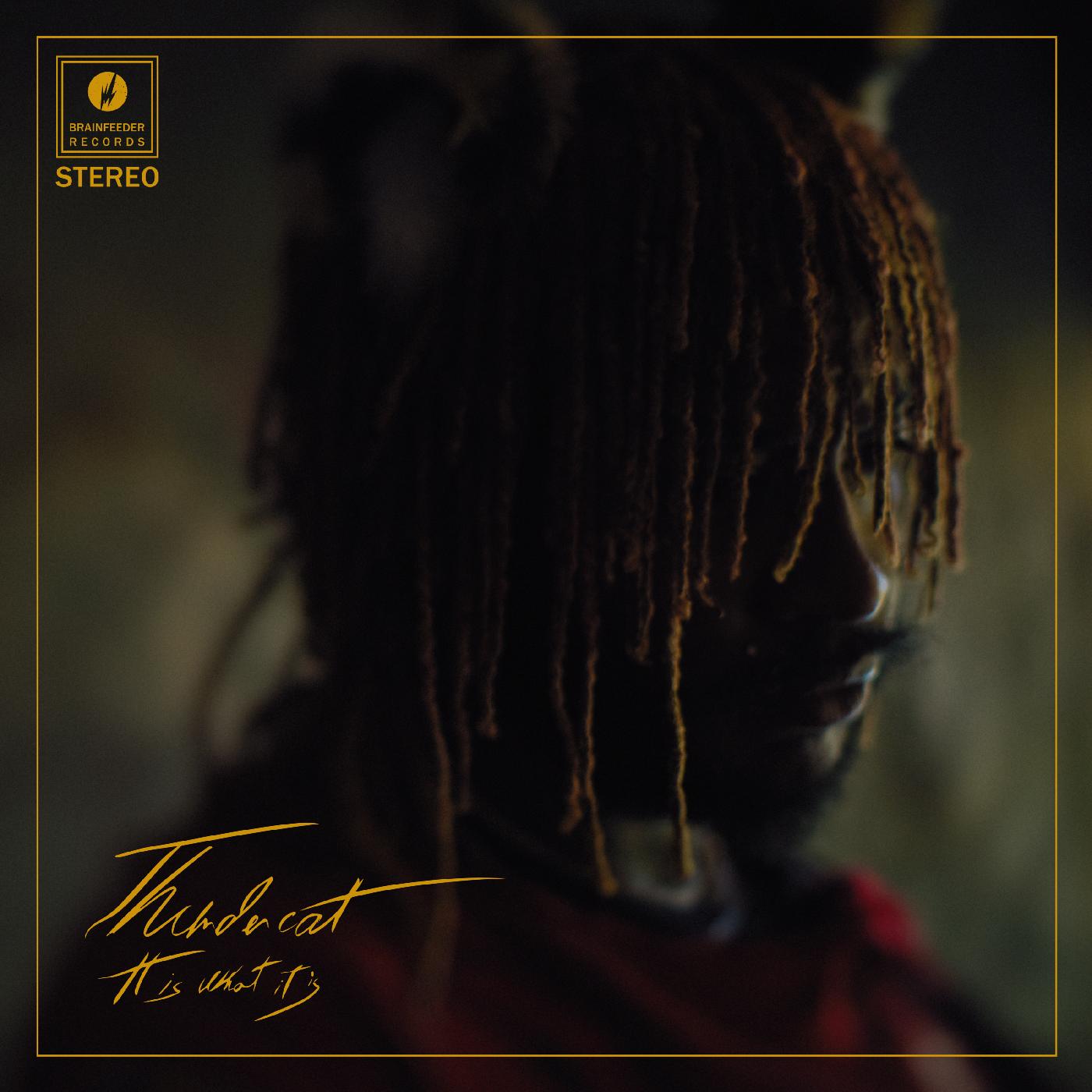 Thundercat - It Is What It Is - Clear Vinyl - LP