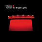 Interpol - Turn On The Bright Lights - LP
