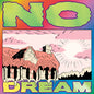 Jeff Rosenstock - No Dream - LP