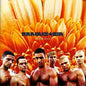 Rammstein - Herzeleid - LP
