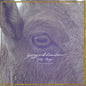 Young & Heartless - Stay Away - LP