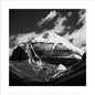 Throbbing Gristle - Part Two: The Endless Not + Tg Now - LP