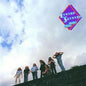 Lynyrd Skynyrd - Nuthin' Fancy - Analogue Productions 45rpm LP