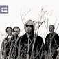 Tom Petty & The Heartbreakers - Echo - LP