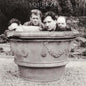 Squeeze - Play - LP