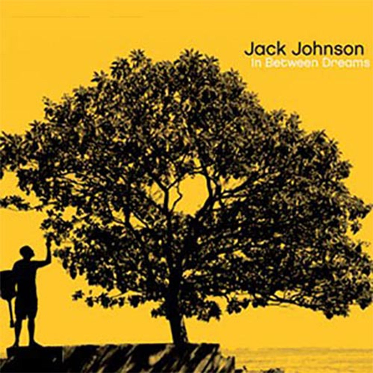 Jack Johnson - In Between Dreams (Limited Edition) - LP