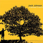 Jack Johnson - In Between Dreams (Limited Edition) - LP