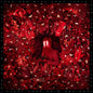 Iron & Wine - Hen's Teeth - LP