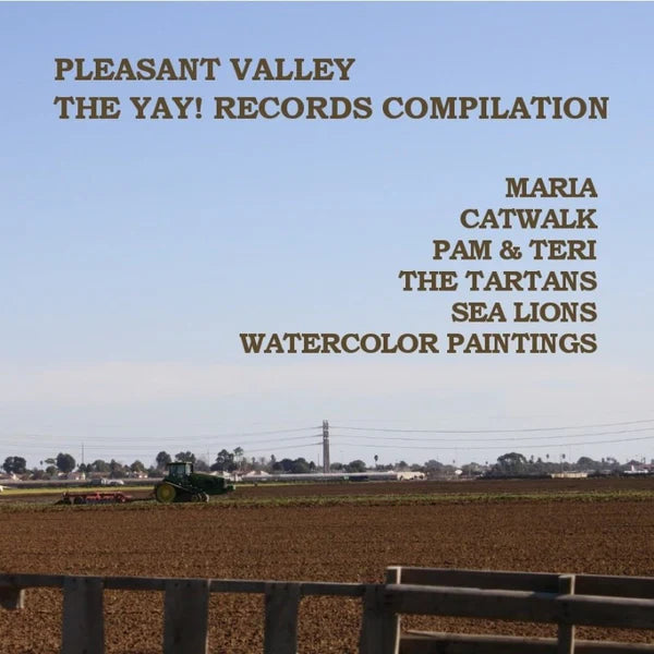 V/A "YAY! Records Compilation- Pleasant Valley" LP